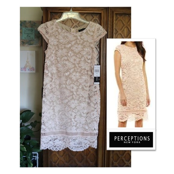 Perceptions Dresses & Skirts - PERCEPTIONS New York Blush Nude Lace Sheath Dress - NWT!